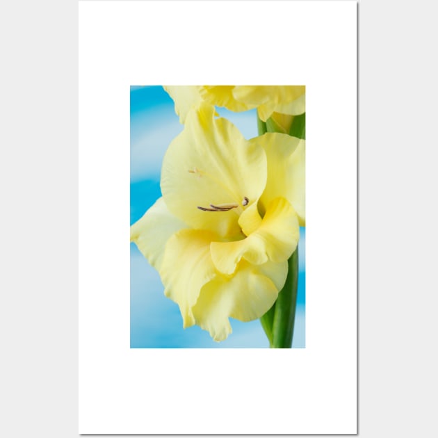 Gladiolus  'Jacksonville Gold' Wall Art by chrisburrows